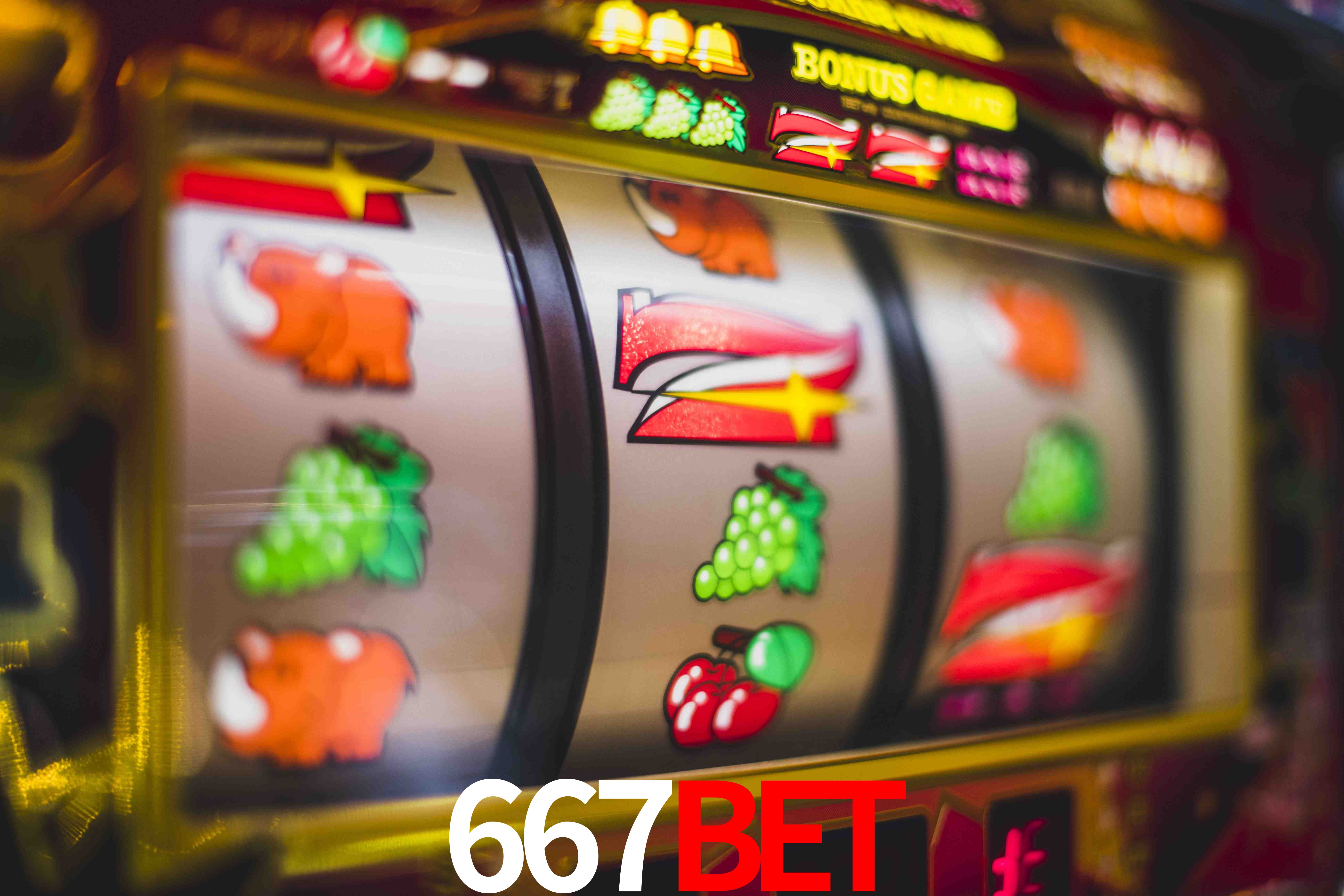 Basketball Betting 667bet